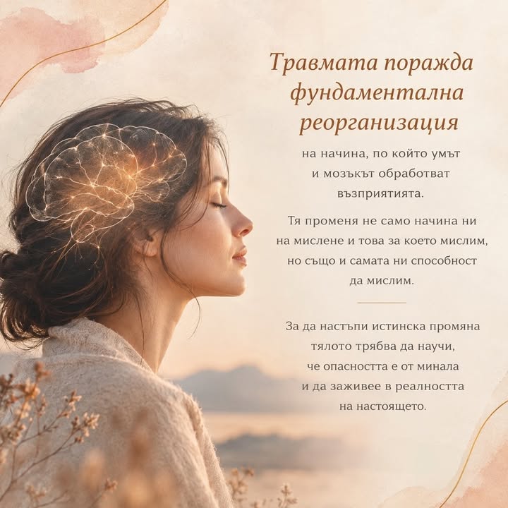 Травмата променя не само това, което мислим, но и начина, по който възприемаме света. Тя…